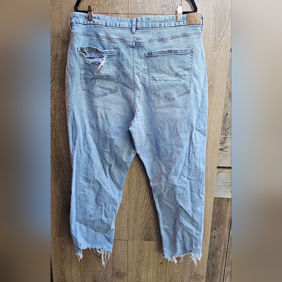 American Eagle Outfitters Strigid Curvy Mom Jeans Short - Picture 3 of 5